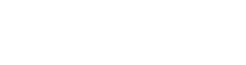 Partner_Similarwe_logo